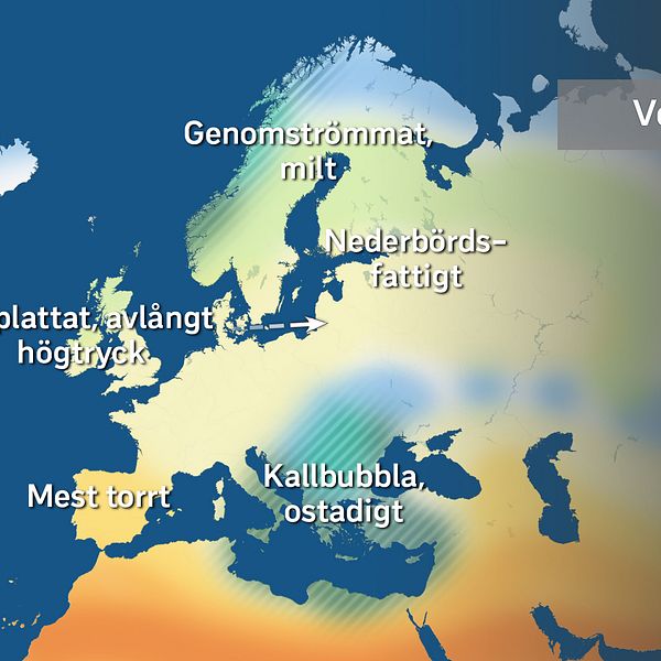Video med meteorolog Nitzan Cohen om den uppdaterade versionen av månadsöversikten, samt hur dessa översikter bör tolkas.