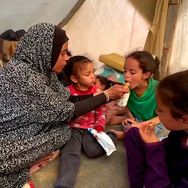 Kvinna matar sina barn med en tesked majskorn, i ett tält i Gaza.