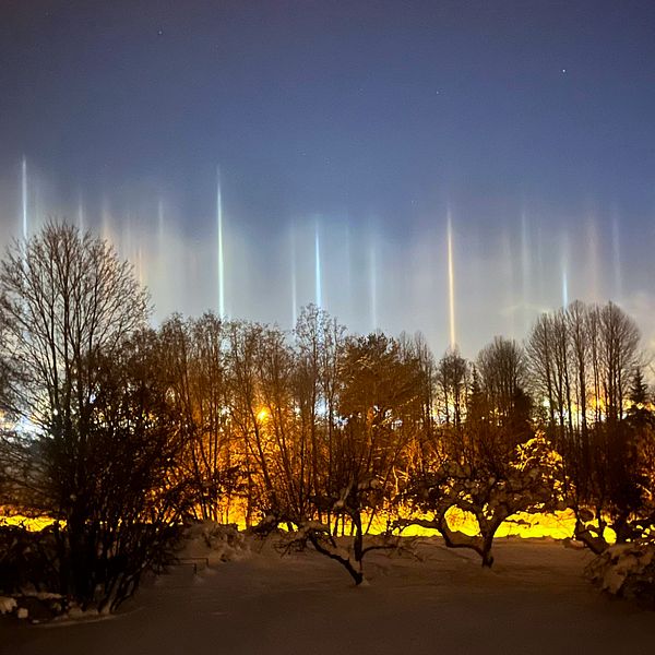 Ljuspelare på himlen. Där gatulysens ljus reflekteras upp i himlen. Ser nästan ut som norrsken.