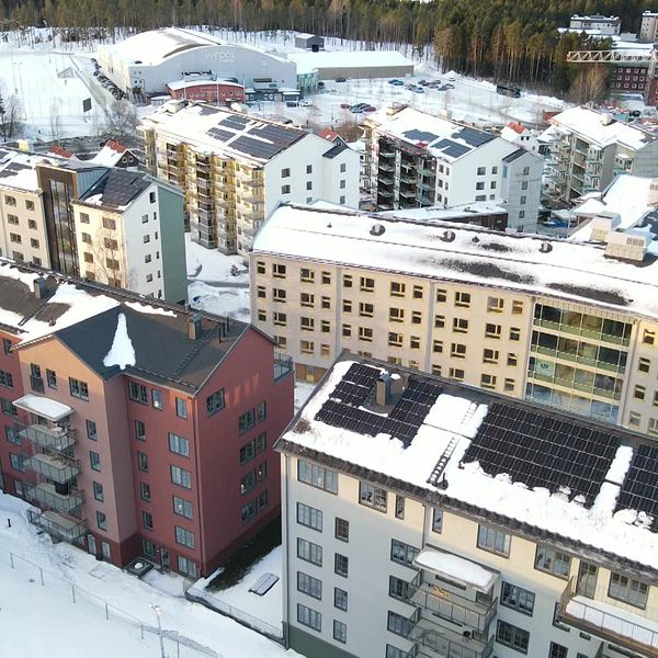 En bild ovanifrån på massa lägenhetshus.