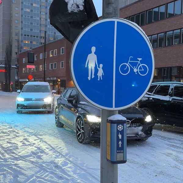 Trafikkaos i Umeå, bilar kör på cykelbana