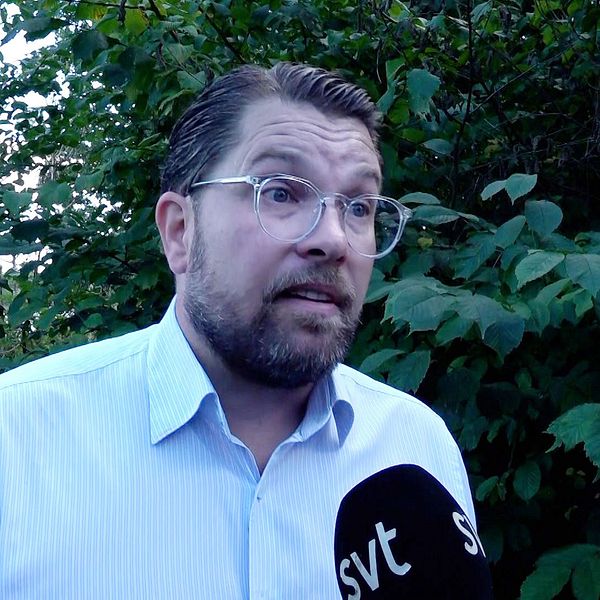 Jimmie Åkesson (SD), partiledare, intervjuas av SVT