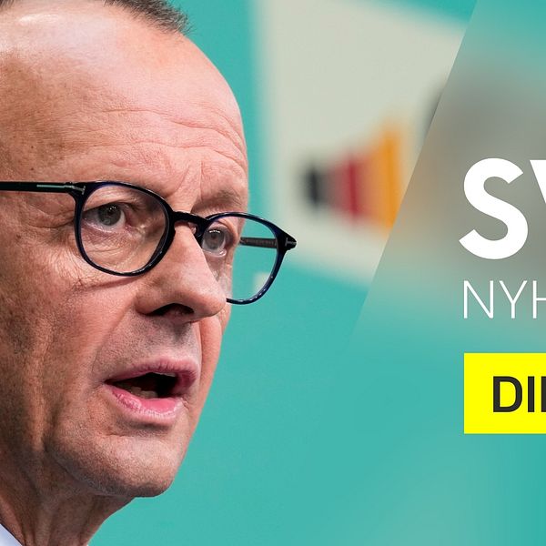 Friedrich Merz