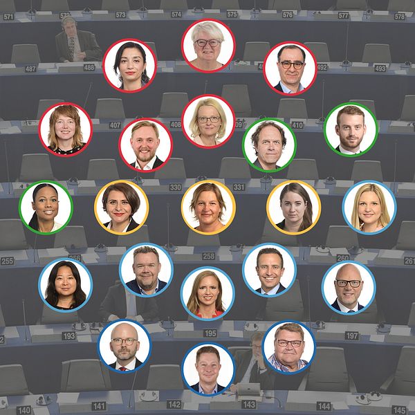 De svenska EU-parlamentarikerna