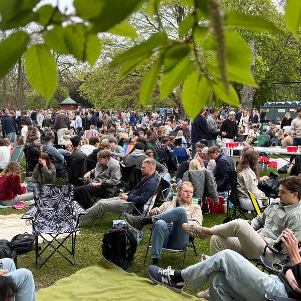 Många människor sitter på filtar och stolar i park under utomhusevenemang.