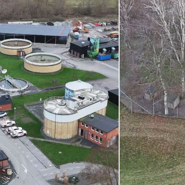 Avloppsreningsverket i Kävlinge där en kommunchef byggde en hundrastgård till sin hund.