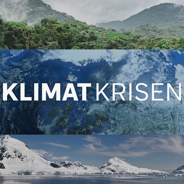 klimatkrisen