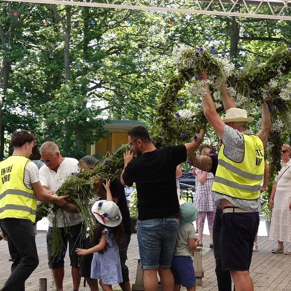 Flera personer reser en midsommarstång utomhus, barn och vuxna deltar i firandet.