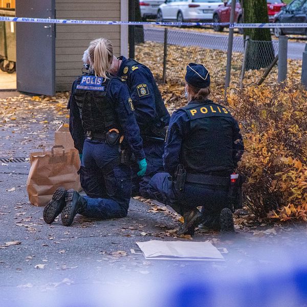 Polistekniker undersöker vapen vid avspärrning i Stenebergsparken, Gävle
