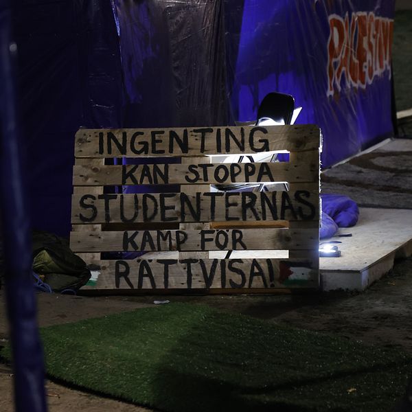 Ett träskynke med texten ”Ingenting kan stoppa studenternas kamp för rättvisa” syns i en mörk miljö, belyst av en lampa. Bakgrunden visar en del av en byggnad täckt av lila plast och en grön gräsyta i förgrunden.