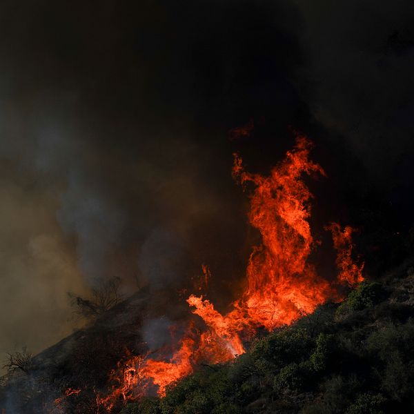 Eldsvåda rasar över en sluttning, med starka flammor och svart rök som stiger mot himlen.