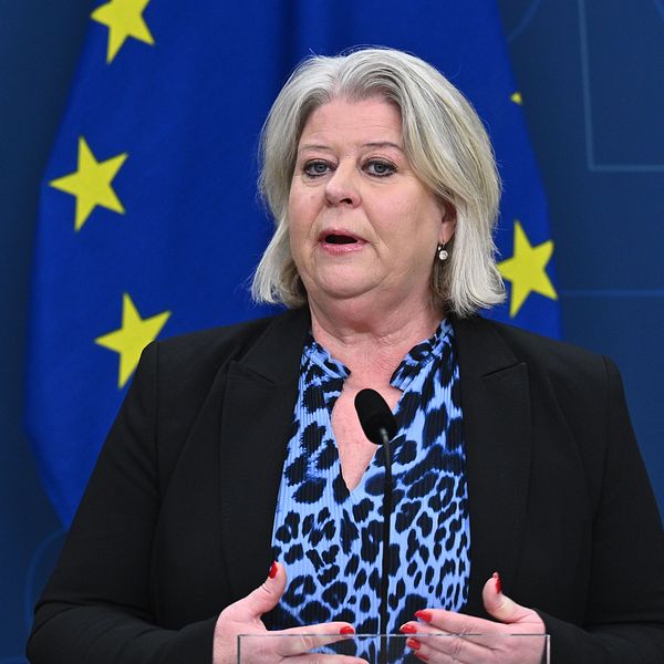 Talare framför EU:s och Sveriges flaggor på presskonferens.