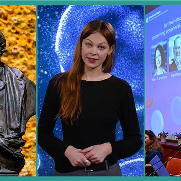 Mary Brunkow, Fred Ramsdell och Shimon Sakaguchi tilldelas Nobelpriset i medicin 2025