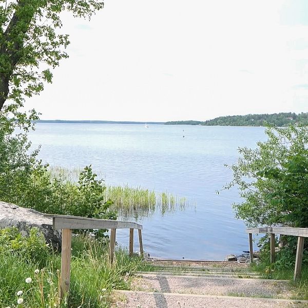 Skarholmen