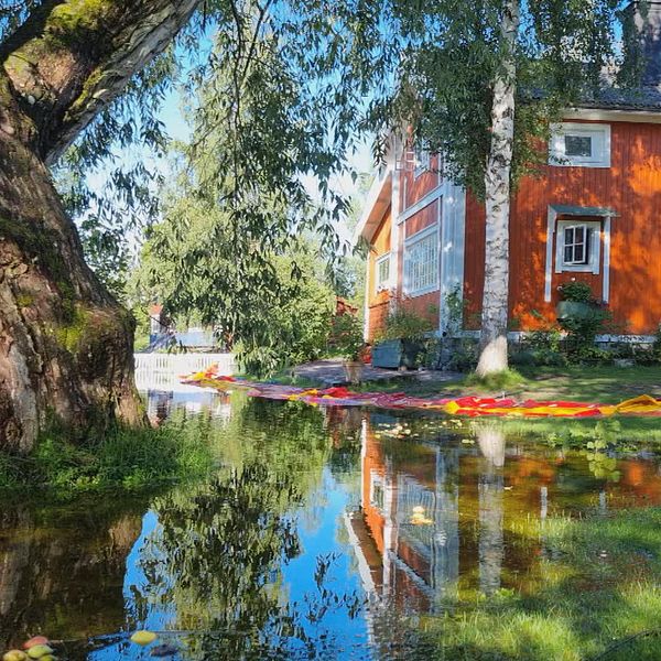 Trädgården på Carl Larsson-gården i Sundeborn under vatten efter det höga vattenflödet.