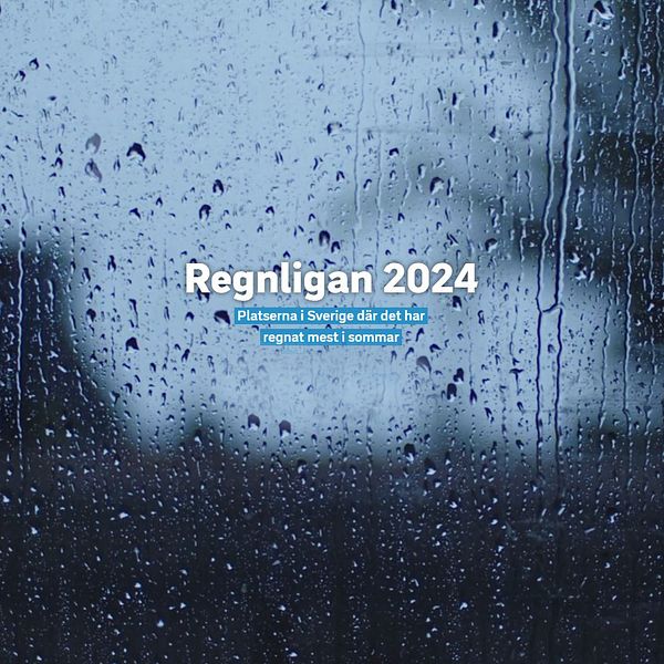 Regnligan 2024