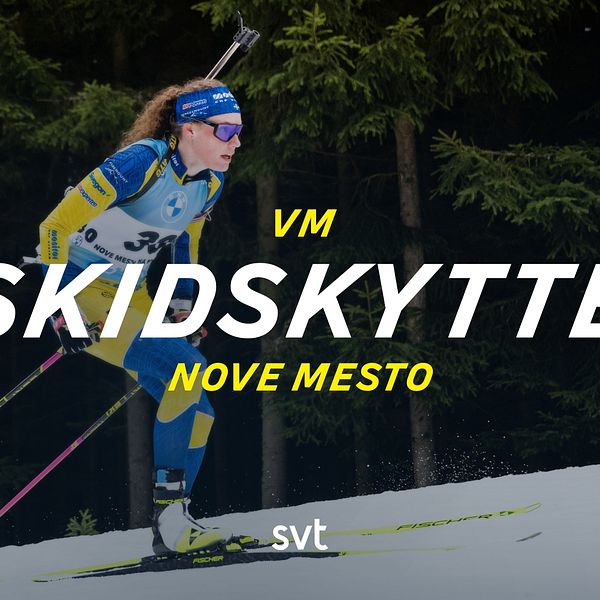 Damernas individuella start i VM i skidskytte i Nove Mesto i Tjeckien. – Individuell start (d)