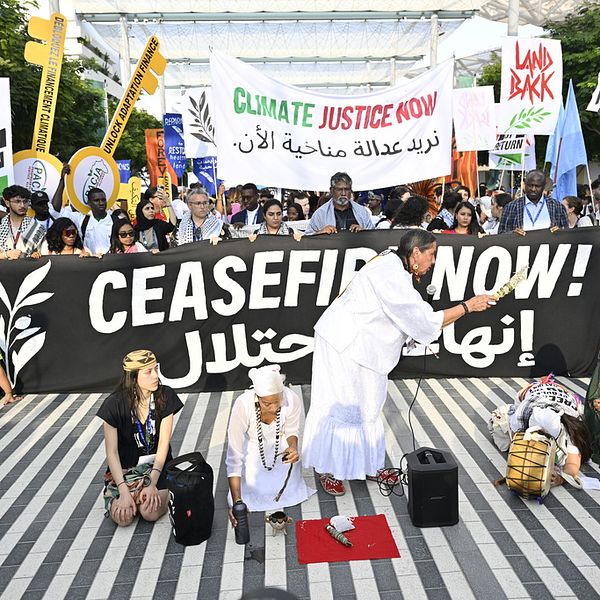 Klimatdemonstration och demonstration mot kriget i Gaza på FN:s toppklimatmöte COP28 i Dubai.