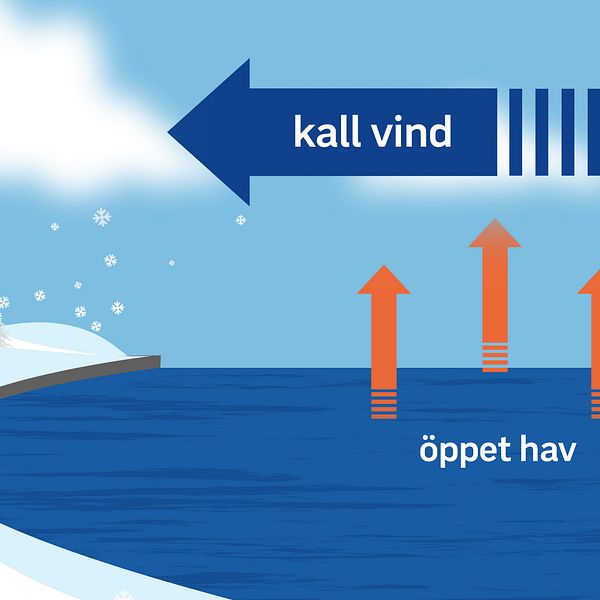 Kall torr luft hämtar fukt från öppen hav och vinden styr snöbyar in mot kusten.