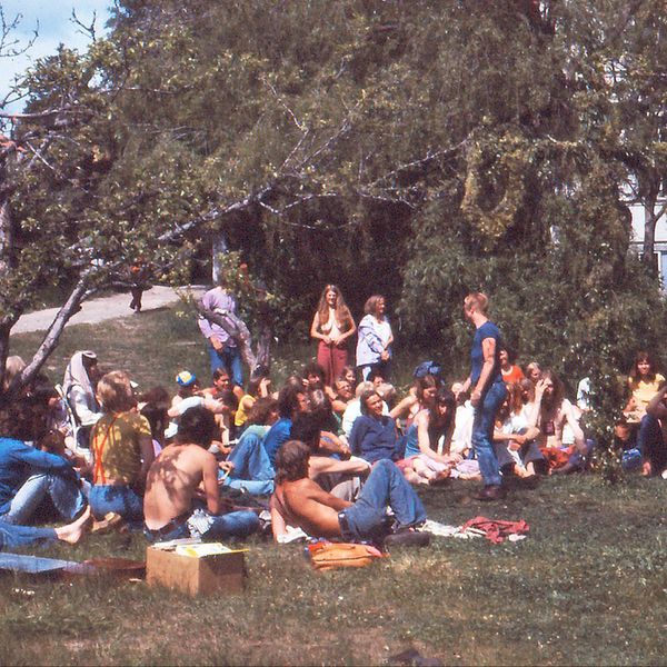 Ett gäng hippies har slagit sig ned i trädgården på kollektivet Ljusbacken.