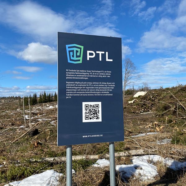 Två skyltar vid en avverkningsplats under klarblå himmel. I Torsboda i Timrå. På skylten syns det kinesiska bolaget PTL:s logga och en QR-kod.