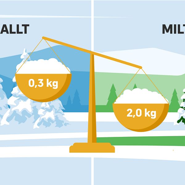 Snöns vikt