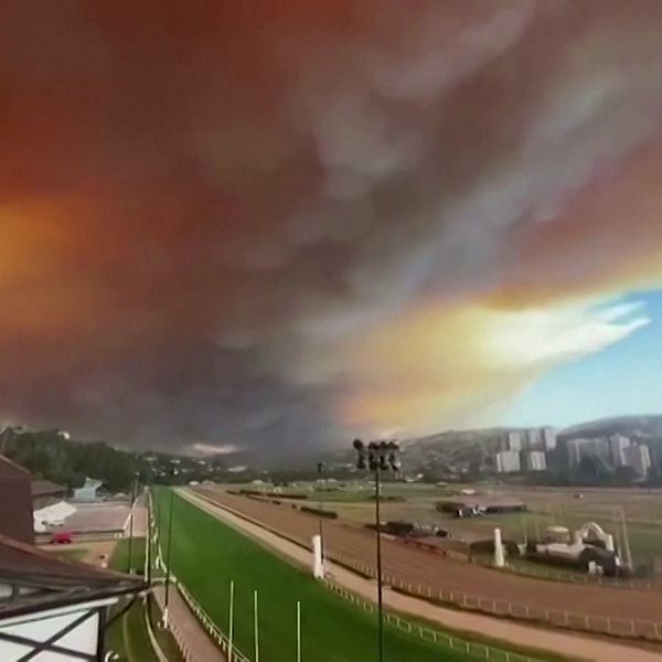 ett jättelikt rökmoln förmörkar himlen