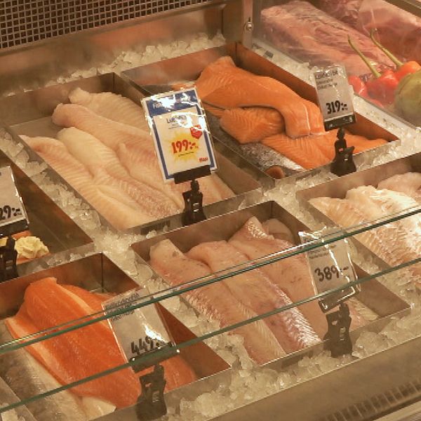 Framställning av fisk och skaldjur i en livsmedelsbutik, med olika sorter av lax, vitfisk och skaldjur på is. Prisskyltar visar variationerna i priser för varje typ av fisk.