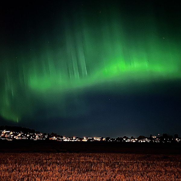 Ett grönt norrsken dansar på himlen i Kristinehamn