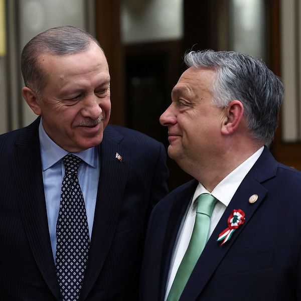 Erdogan och Órban ler åt varandra