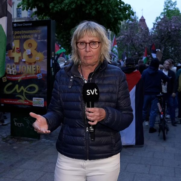 SVT:s reporter och propalestinska supportrar.