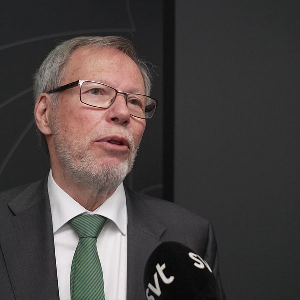Mats Melin, ordförande i insynskommittén