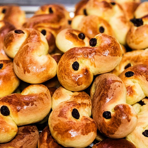 En stor mängd nybakade lussekatter, en traditionell svensk julbakelse, ligger på ett bakplåt. Bullarna har en gyllene yta och är dekorerade med russin. I vänstra hörnet finns en röd ruta med siffrorna 3, 2 och 1.