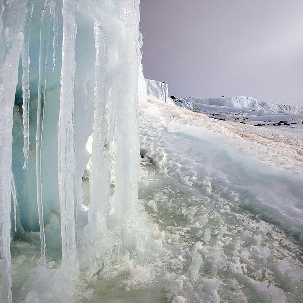 Istappar i förgrunden och stora fält av is på Antarktis i bakgrunden