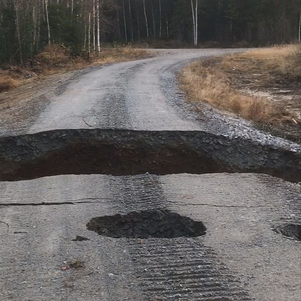 En grusväg med djupa hål och en stor spricka i mitten, omgiven av träd och buskar. Hålens kanter är ojämna och ytan ser skadad ut, vilket tyder på erosion eller annan typ av vägskada.