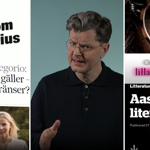 Finansieringen av kulturkanon sågas | SVT Nyheter