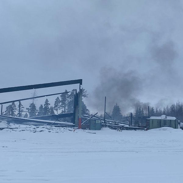 Brand på blåbärstippen i Sundsvall