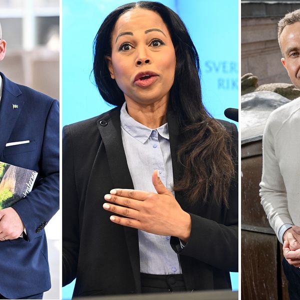 Charlie Weimers (SD), Alice Bah Kuhnke (MP) och Tomas Tobé (M).