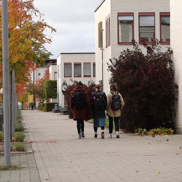 Tre personer går på höstligt universitetsområde, omgivna av färgglada träd och vita hus.