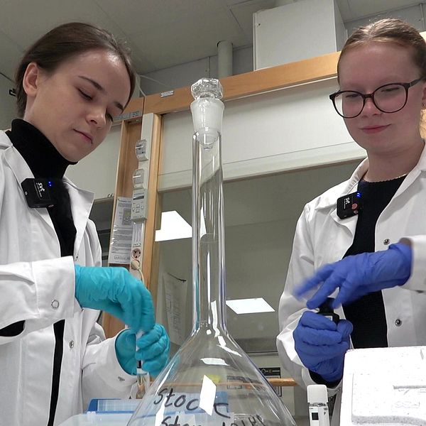 Två forskarstudenter står med prover i ett laboratorium.
