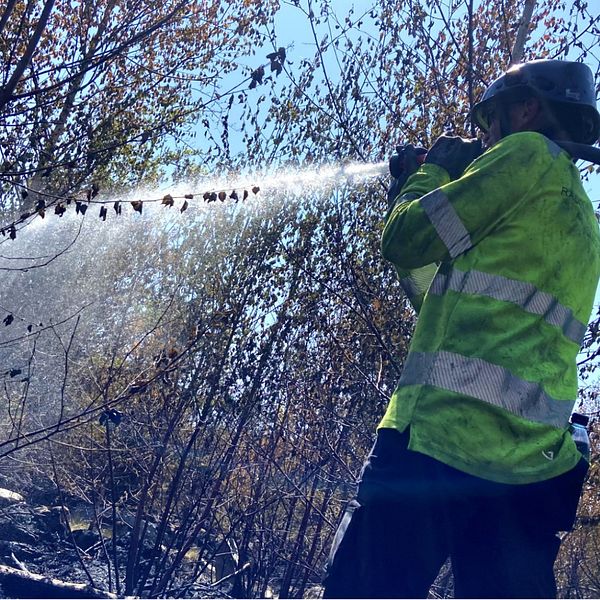 Brandman bekämpar skogsbrand