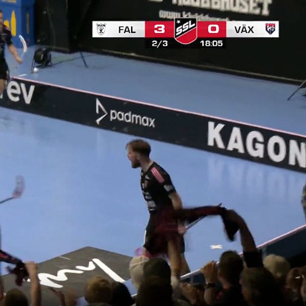 Innebandyspelare firar mål på planen medan publik jublar.