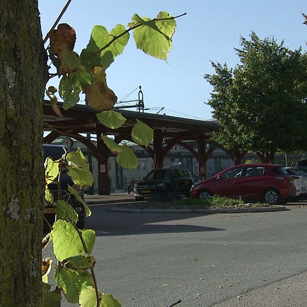 Träd vid centralstationen i Karlstad