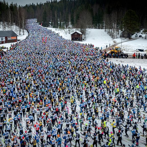 Tusentals skidåkare på Vasaloppet  i vintrigt landskap.