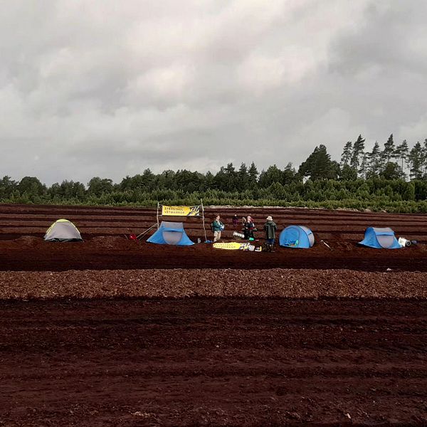 Klimataktivister tältar på torvmosse i småland