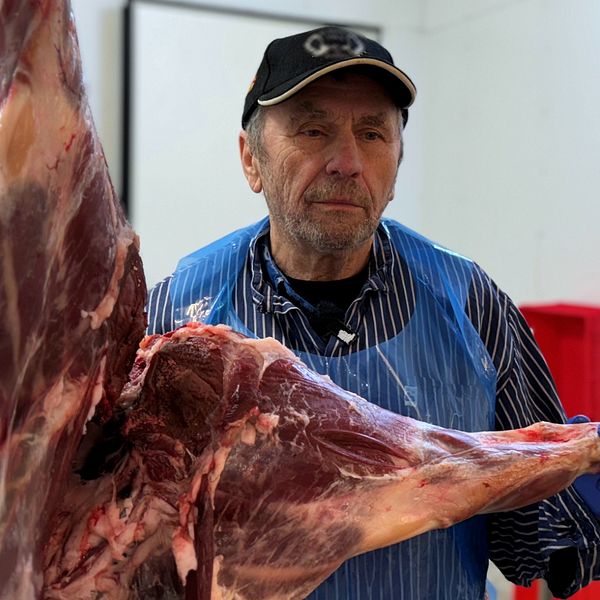 Jägaren och slaktaren Arne Olsson är kritisk till nya regler gällande vildsvinskött. Han står på bilden vid ett vildsvinskropp.