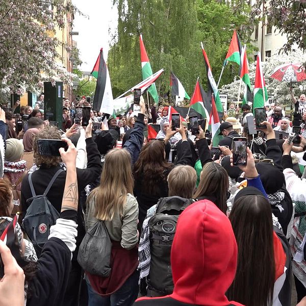 Pro-palestinsk demonstration i Malmö