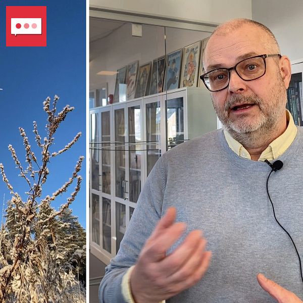 Tvådelad bild. Vänster: vindkraftverk mot blå himmel. Höger: person med mikrofon talar inomhus.