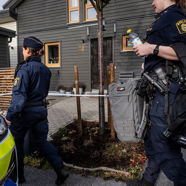 g-ngkriminalitet-svt-nyheter