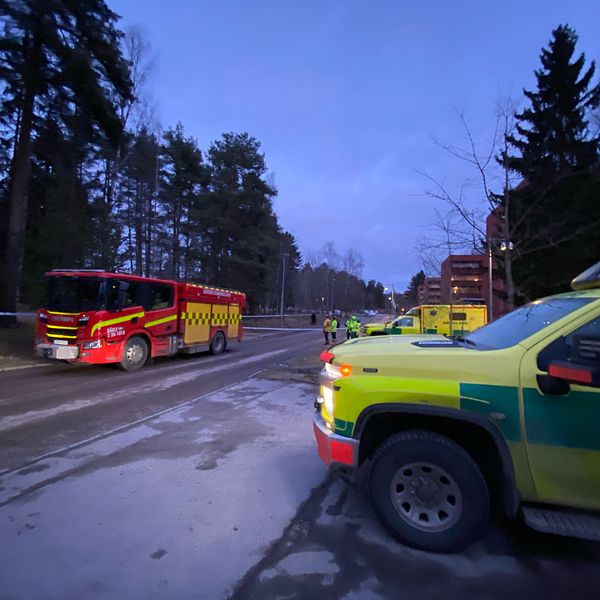Polisinsats i Gävle
